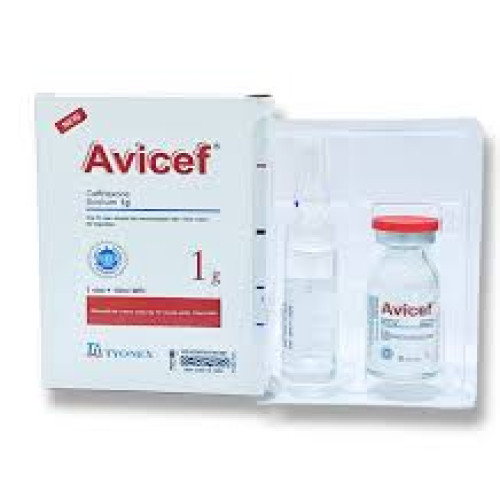 Avicef Injection